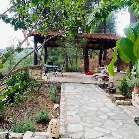 Luxury House-,troodos Mountains,forest Vilă
