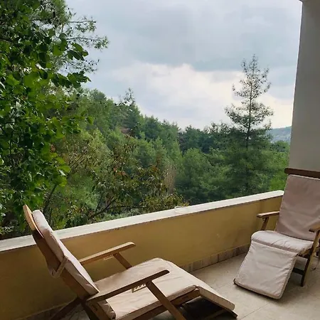 Vilă Luxury House-,troodos Mountains,forest