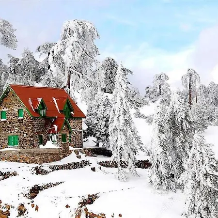 Luxury House-,troodos Mountains,forest Vilă