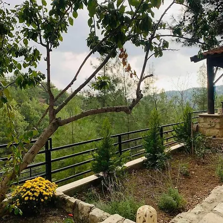 Luxury House-,troodos Mountains,forest Villa Limassol
