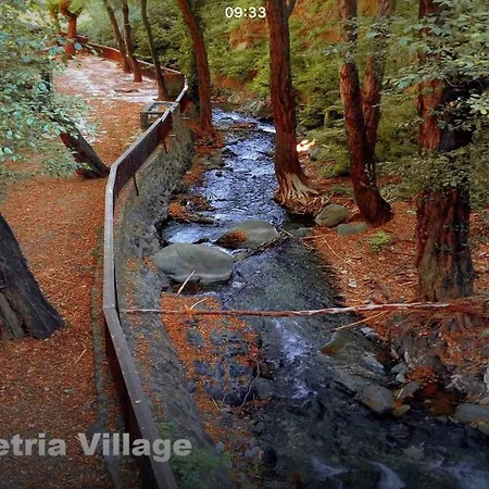 Luxury House-,troodos Mountains,forest Villa *