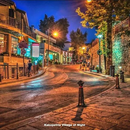 Villa Luxury House-,troodos Mountains,forest Limassol