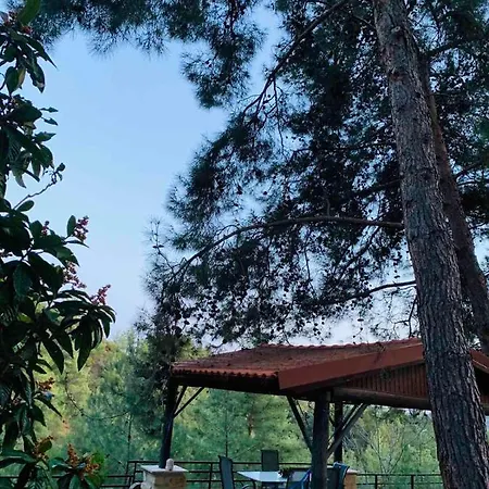 Luxury House-,troodos Mountains,forest